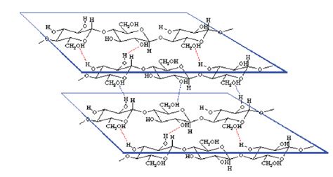 Structure of hemicellulose (Idi and Mohammad 2011, Varga 2003). | Download Scientific Diagram