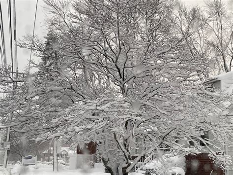 St James PSEG LI Customers Faced With Most Outages On LI After Snow