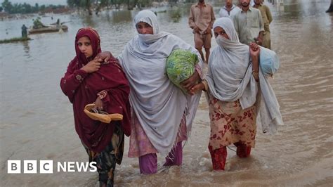 Climate Change Impacts Women More Than Men BBC News