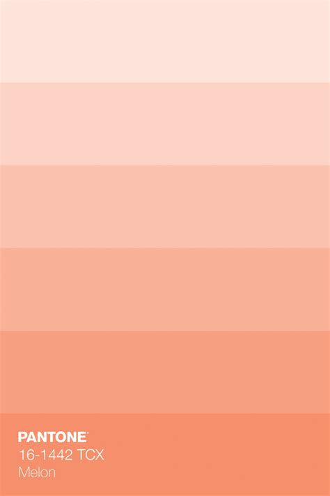 Pantone 16 1442 Tcx Melon Color Tint Orange Color Palettes Peach