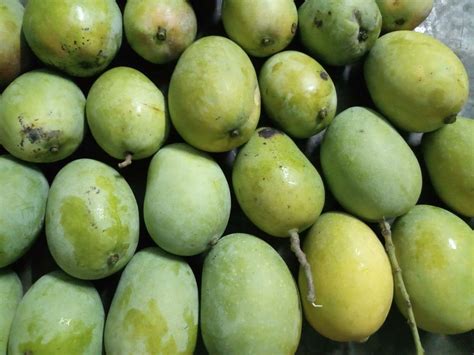 Pin By Bablu Mandal On Mng Mangoes Fruit Olive