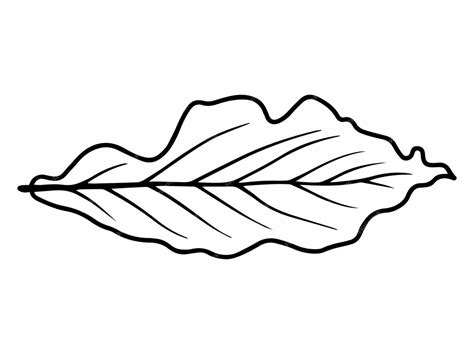 Premium Vector Hand Drawn Leaves Line Art Illustration