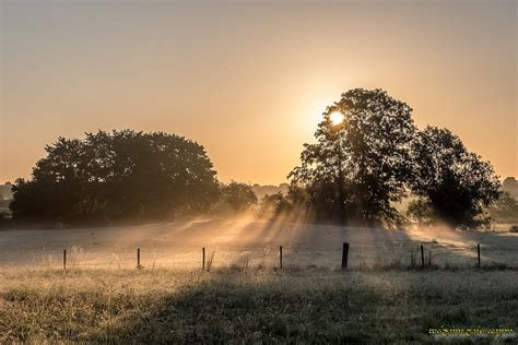 Guillaume Séchet on Twitter Très belle ambiance brumeuse dans les