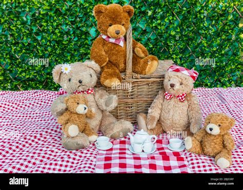 Teddy Bear S Picnic Five Teddy Bears Enjoying A Picnic In The Garden