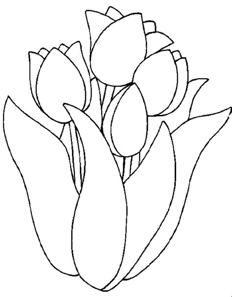 Dibujos De Tulipán 161642 Naturaleza Para Colorear Páginas