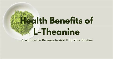 Health Benefits Of L Theanine 6 Reasons To Add It To Your Routine