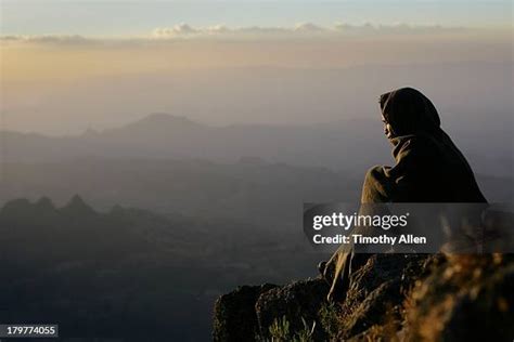 Timothy Field Allen Photos And Premium High Res Pictures Getty Images