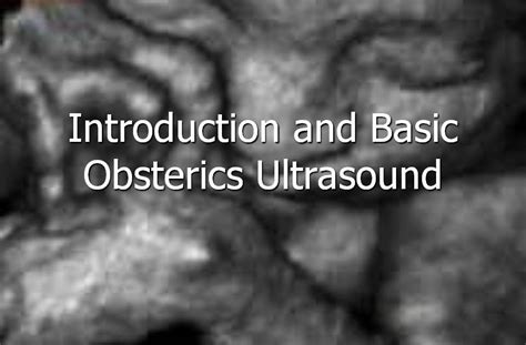 Introduction And Basic Obstetrics Ultrasound Free Medical Online