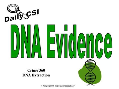 Ppt Dna Evidence Powerpoint Presentation Free Download Id 6193799