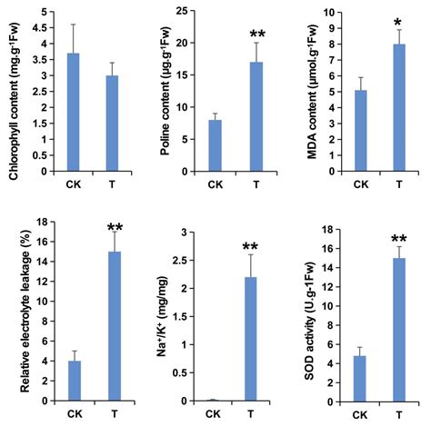 Global N6 Methyladenosine Profiling Revealed The Tissue Specific