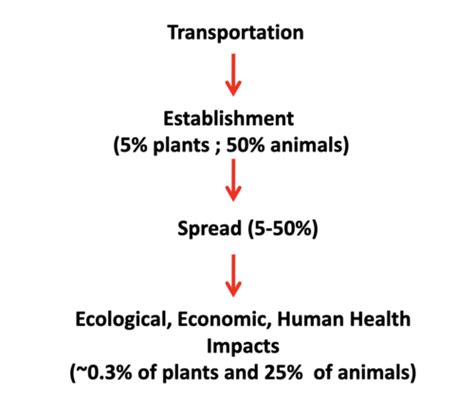 Ecology Exam Review 2 Flashcards Quizlet