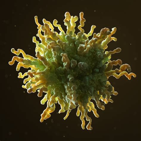 Cancer Cell 3d Model Turbosquid 1547829