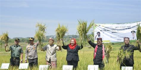 Kota Semarang Menjadi Pilot Project Ketahanan Pangan Dampak Dari El