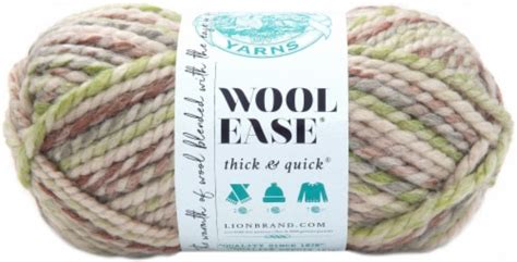 Lion Brand Wool Ease Thick Quick Yarn Fern 1 Kroger