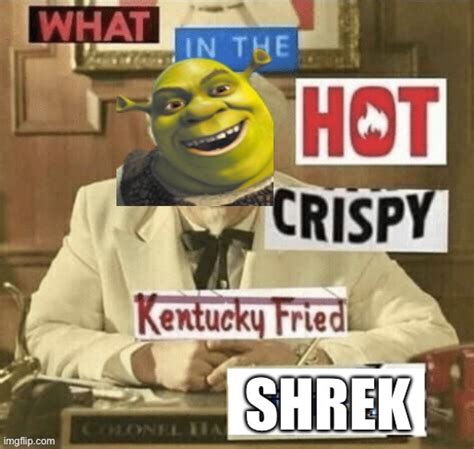 Fried Shrek Imgflip