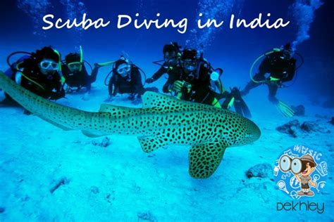 Top Best Scuba Diving Places In India Underwater Heavens