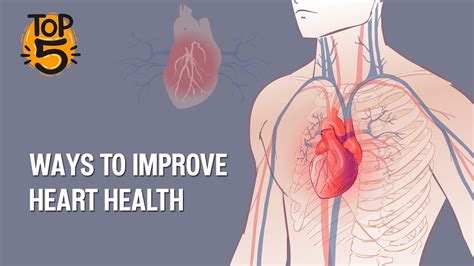 5 Ways To Improve Your Heart Health Youtube