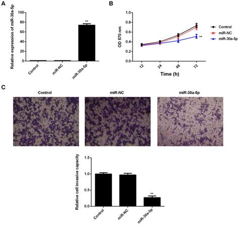 Microrna‑30a‑5p Inhibits The Proliferation And Invasion Of Gastric