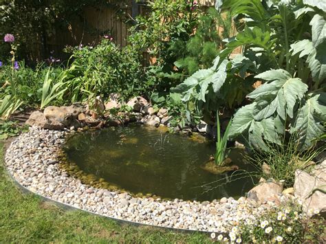 How To Build A Wildlife Pond Part 2 The Small Gardener