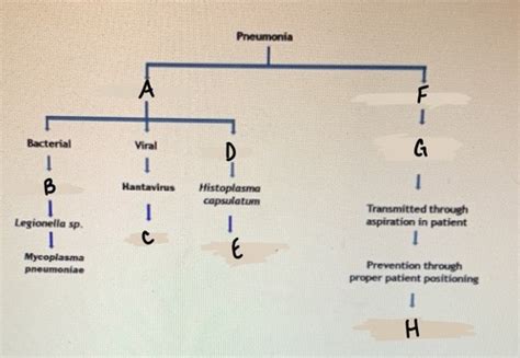 Microbiology Chapter Homework Flashcards Quizlet