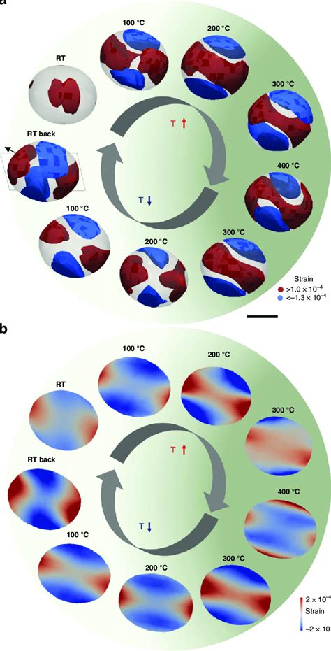 Operando 3D strain images of gold cuboctahedron crystal. a Strain ...