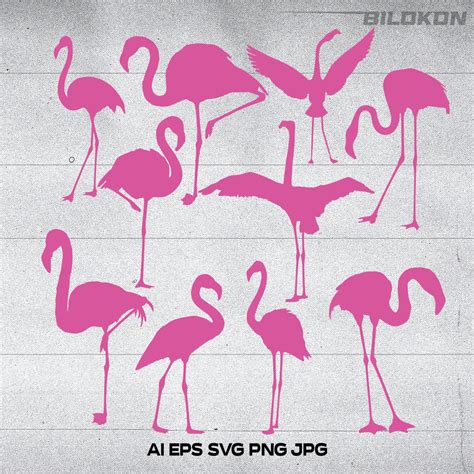 Pink Flamingo Silhouette Set SVG Vector MasterBundles