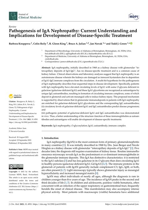 Pdf Pathogenesis Of Iga Nephropathy Current Understanding And Implications For Development Of