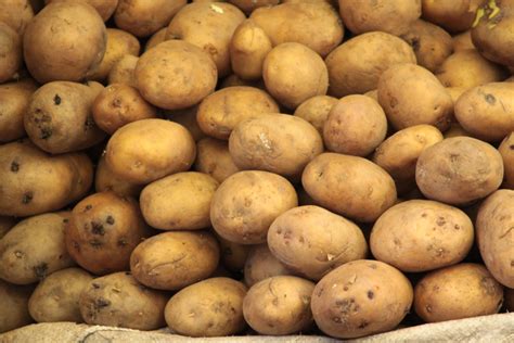 Le Patate Fanno Ingrassare