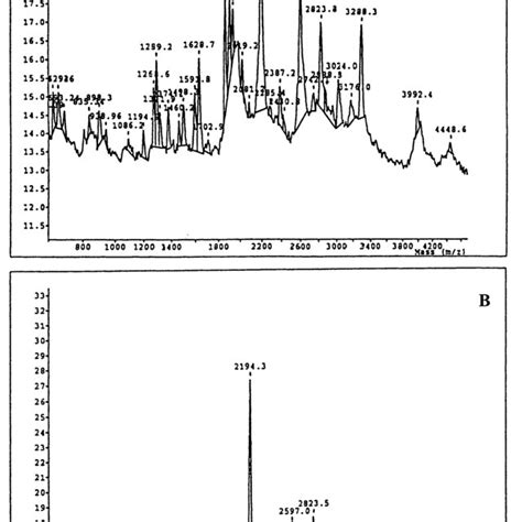 Mass Spectrometry Analysis Of Tryptic Digest From The 89 Kda A And Download Scientific