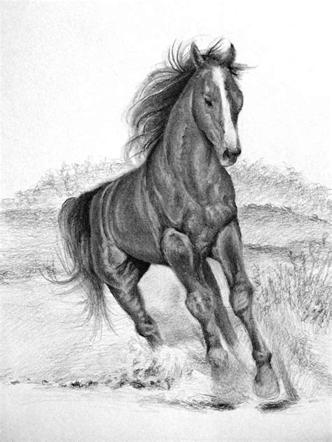 Pencil Sketches Of Horses Tutorial How To Draw A Horse In 2020 Horse