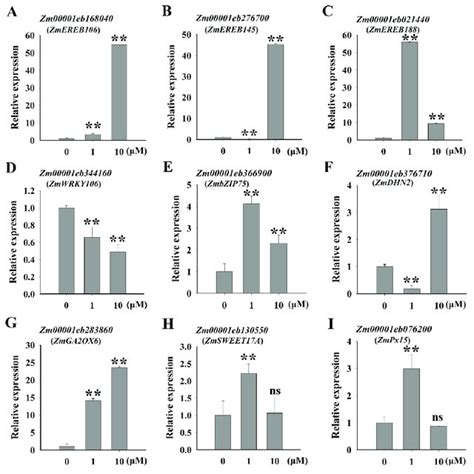 A I Expression Of Genes Involved In Drought Stress Response By