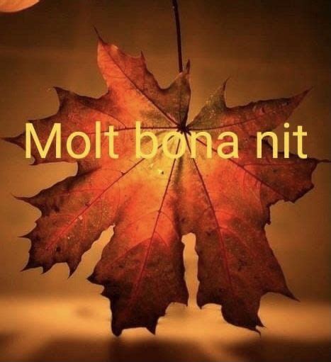 A Leaf With The Words Molt Bona Nit Hanging From It S Side