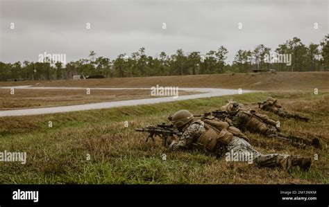 U S Marines With D Battalion Th Marine Regiment D Marine Division