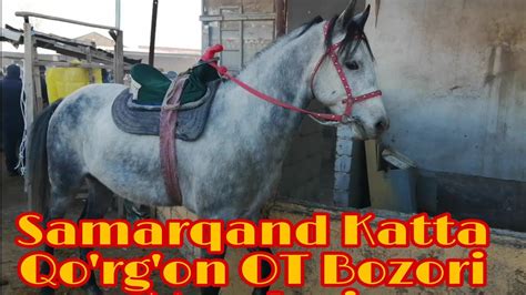 Samarqand Katta Qo Rg On OT Bozori Narxlari 12 2 2021 YouTube