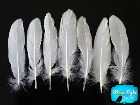 White Goose Feathers, 1 Pack WHITE Goose Satinettes Loose Feathers 0.3 ...