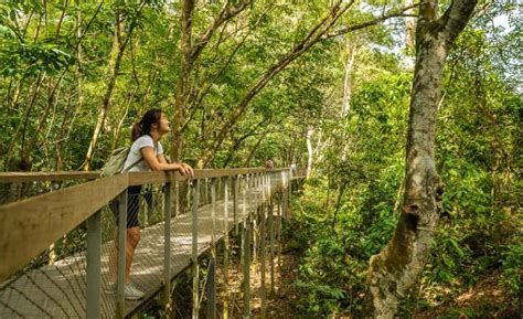 Windsor Nature Park — A Lesser-Known Hike to MacRitchie in Singapore