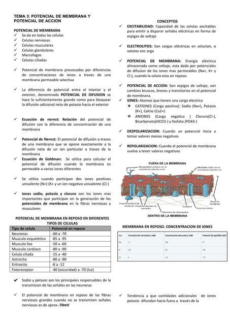 TEMA 3 POTENCIAL DE MEMBRANA Y ACCION Gabriela Majano UDocz