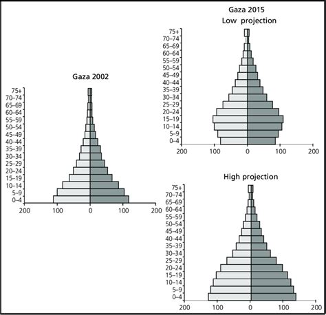 Future age structures of the population in the Gaza Strip | Download ...