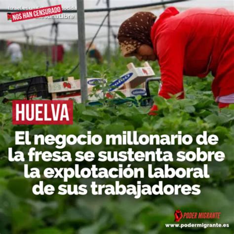 El Negocio Millonario De La Fresa De Huelva Se Sustenta Sobre La Explotación Laboral De Sus