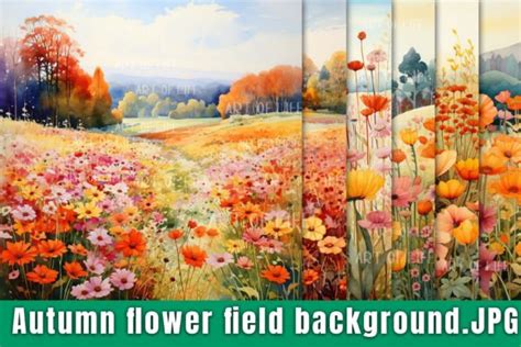 Autumn Flower Field Background. Graphic by thanaphat.sk · Creative Fabrica