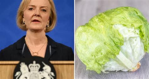 Why Is The U K Pm Compared To A Head Of Lettuce Watch Daily Candid News