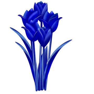 Hermosa Flor De Tulipán Azul Brillante PNG Flor Decoración