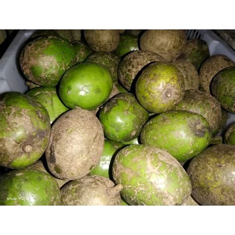 Jual Buah Kedondong Segar Kg Shopee Indonesia