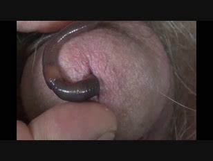 Worm In Cock Porn Tube Videos At YouJizz