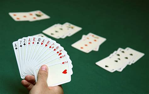 Bridge Card Game Pictures, Images and Stock Photos - iStock