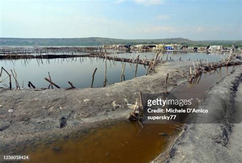 20 Lake Katwe Stock Photos, High-Res Pictures, and Images - Getty Images