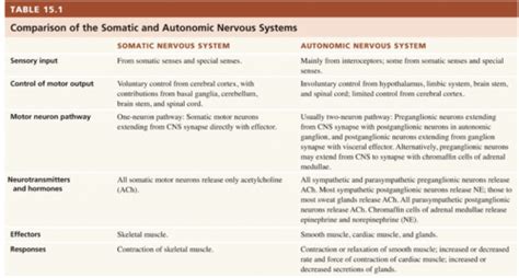 Neurophys Part Nervous System Flashcards Quizlet