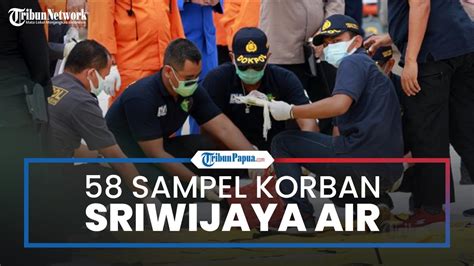 Tim DVI Terima Sampel Korban Jatuhnya Sriwijaya Air SJ182 56 Kantong