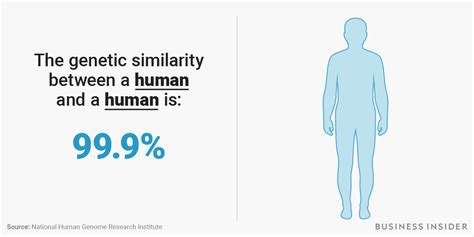 Genetic Makeup Of Humans Vs - Makeup Vidalondon