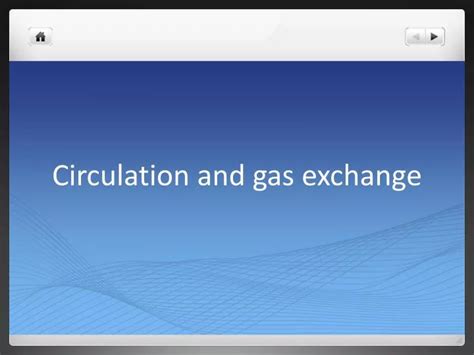 PPT Circulation And Gas Exchange PowerPoint Presentation Free